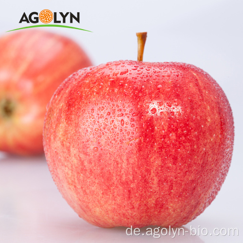 Gute Qualitätsfabrik liefert große frische Äpfel